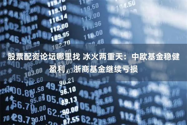 股票配资论坛哪里找 冰火两重天：中欧基金稳健盈利，浙商基金继续亏损