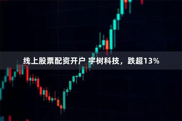 线上股票配资开户 宇树科技，跌超13%